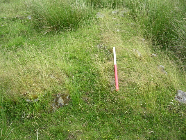 EHG3312_CAMS_038.jpg