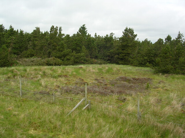 EHG3312_CAMS_041.jpg