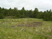 EHG3312_CAMS_041.jpg