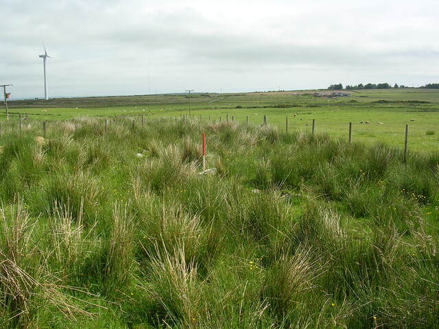 EHG3312_CAMS_049.jpg