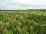 EHG3312_CAMS_049.jpg