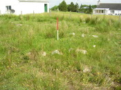EHG3312_CAMS_050.jpg