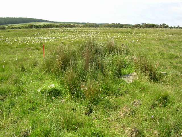 EHG3312_CAMS_055.jpg