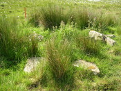 EHG3312_CAMS_056.jpg