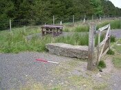 EHG3312_CAMS_058.jpg
