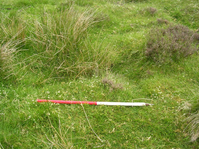 EHG3312_CAMS_059.jpg