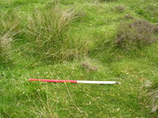 EHG3312_CAMS_059.jpg