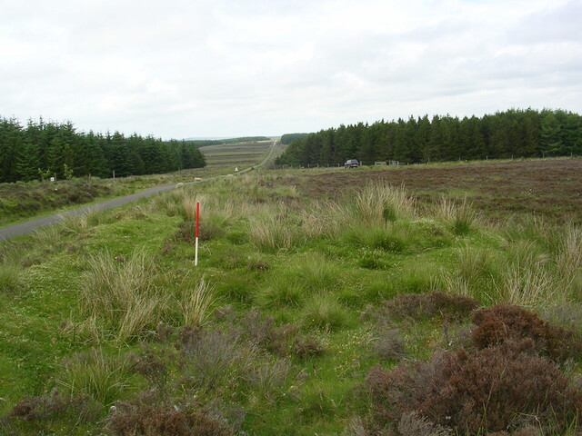 EHG3312_CAMS_060.jpg