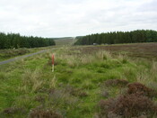 EHG3312_CAMS_060.jpg