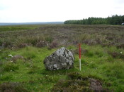 EHG3312_CAMS_063.jpg