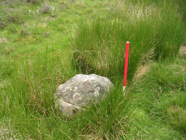EHG3312_CAMS_064.jpg