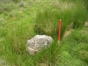 EHG3312_CAMS_064.jpg