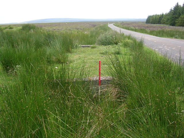 EHG3312_CAMS_065.jpg