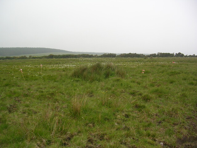 EHG3312_CAMS_066.jpg