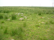 EHG3312_CAMS_068.jpg