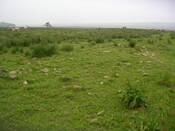 EHG3312_CAMS_071.jpg