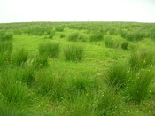 EHG3312_CAMS_074.jpg