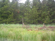 EHG3312_CAMS_076.jpg