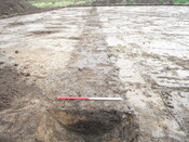 EHG4089_WAWF_021.JPG