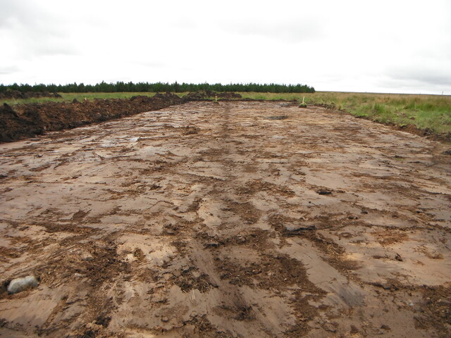 EHG4089_WAWF_045.JPG