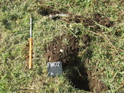 EHG4102_image_10.JPG