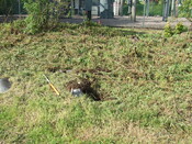 EHG4102_image_11.JPG
