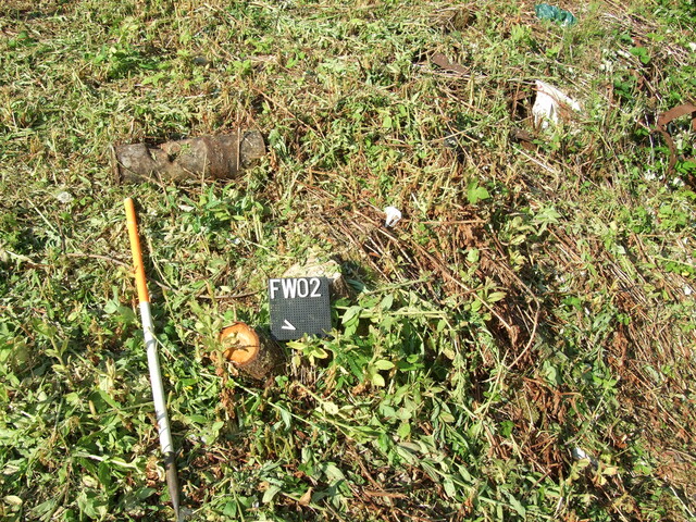 EHG4102_image_13.JPG