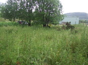 EHG4102_image_30.JPG