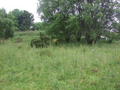 EHG4102_image_31.JPG