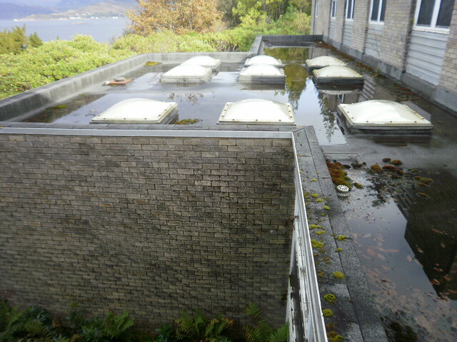 EHG4111_image_54.JPG