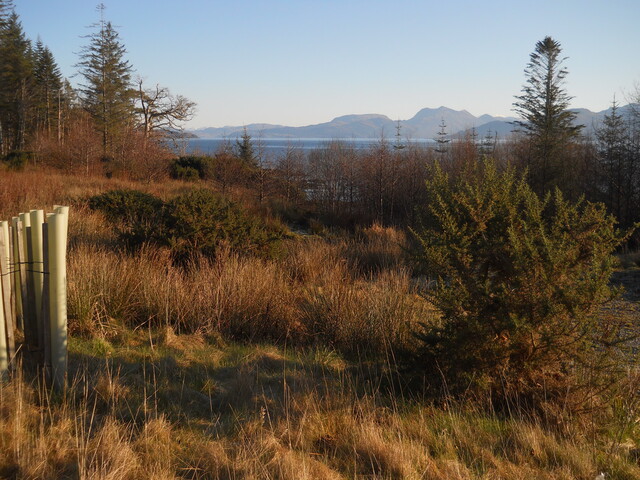 EHG4114_image_02.JPG