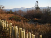 EHG4114_image_03.JPG