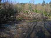 EHG4114_image_06.JPG