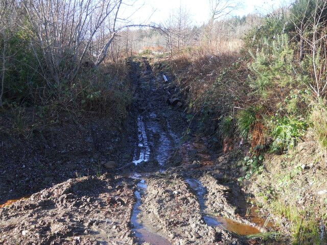 EHG4114_image_15.JPG