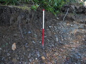 EHG4114_image_20.JPG