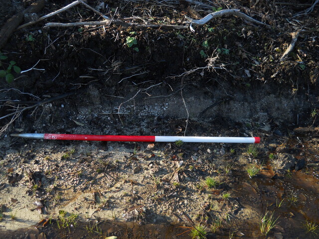 EHG4114_image_21.JPG