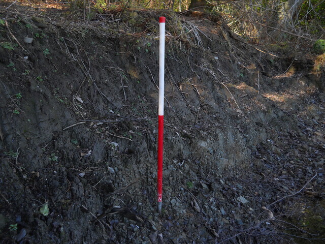 EHG4114_image_22.JPG