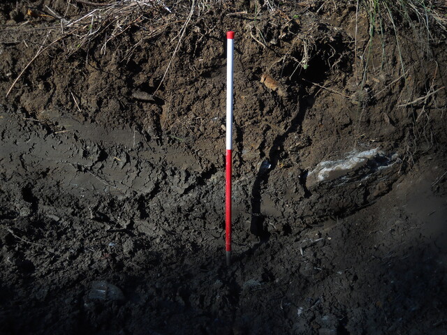 EHG4114_image_24.JPG