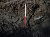 EHG4114_image_24.JPG