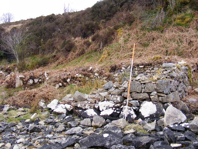 EHG4115_image_04.jpg