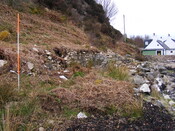 EHG4115_image_08.jpg