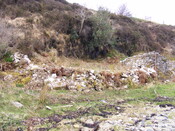 EHG4115_image_20.jpg