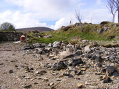 EHG4115_image_29.jpg