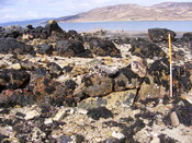 EHG4115_image_31.jpg