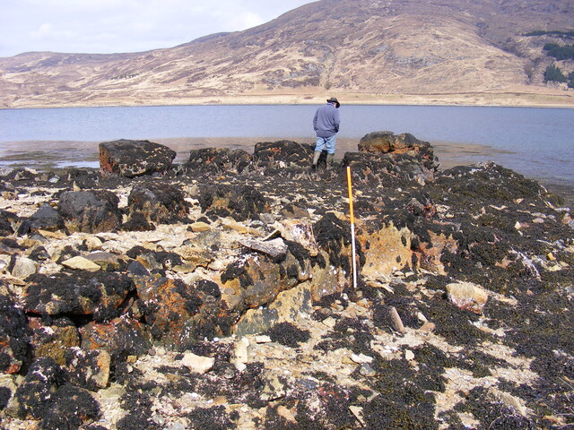 EHG4115_image_32.jpg