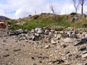 EHG4115_image_34.jpg