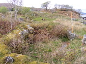 EHG4115_image_46.jpg
