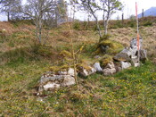 EHG4115_image_59.jpg