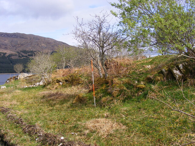 EHG4115_image_66.jpg