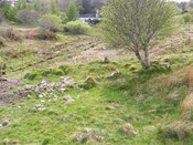 EHG4115_image_77.jpg